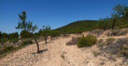 Se Vende Terreno en Onil Ref. 951