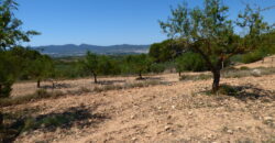 Se Vende Terreno en Onil Ref. 951